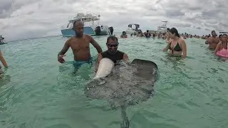 Swimming With Stingrays At Cayman Islands