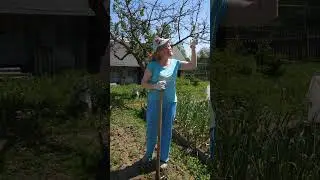Они  нас обманывают.....