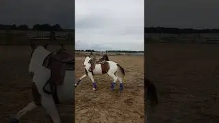 bell boots2
