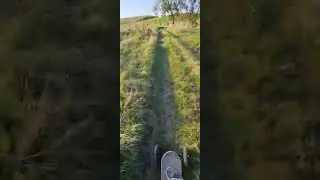 Electric skateboard 3
