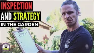 The Importance of Inspecting Your Cannabis Plants!