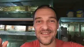 Включаем Свет на Развадне и готовимся нерестить Кориков!!))
