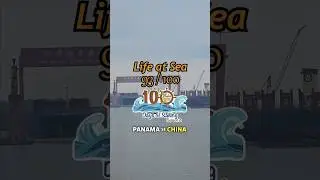 #093 Mystery Box from USA & China #shorts #usa #china #youtube