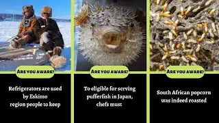 10 Interesting Facts About Food| Amazing Food Facts in English| Funpectationfad