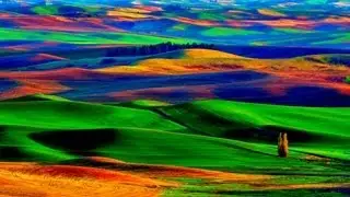 The Colours of Music (HD)