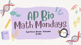 ✨Math Monday 5 (Surface Area:Volume for Cube)✨