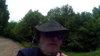 Bugs