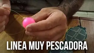 LINEA ELEVADORA PARA PEJERREY, ESPECIAL PARA ZONA DE PIEDRAS