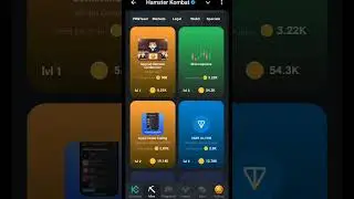 hamster kombat combo cards | 6 august combo cards #money #mining #earnmoneyonline #earn