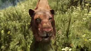Farcry primal