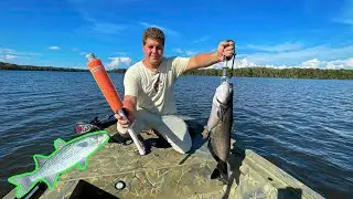 Jug fishing with mullet for catfish