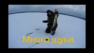 РЫБАЛКА НА ЖЕРЛИЦЫ!Много щуки,удачная рыбалка