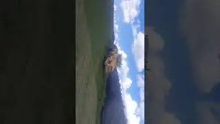 К701 трамбовка зелёнки