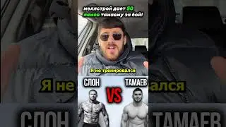МЕЛЛСТРОЙ ОРГАНИЗОВАЛ БОЙ СЛОНА И ТАМАЕВА 💪