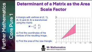 Determinant of a Transformation Matrix | Mr Mathematics