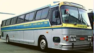 Que FIM Levou o Ônibus da Viação Cometa 7160 ?
