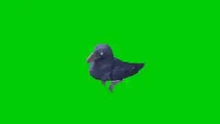 crow green screen animation@EditorG