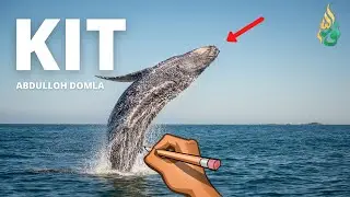 KIT - ABDULLOH DOMLA / КИТ - АБДУЛЛОҲ ДОМЛА