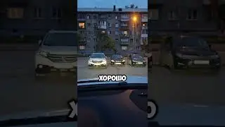 Что только не встретишь на ПАРКОВКЕ в #новосибирск !