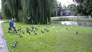 Deel 7.AVI