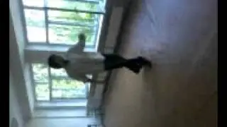 удар зверя