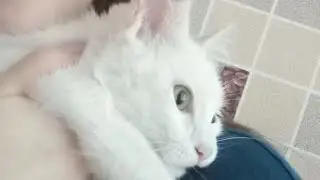 Закон сеяния и жатвы