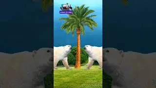 pyari mama pyare baba eid mubarak special video vfx islamic video #shorts