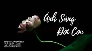 Ánh sáng đời con