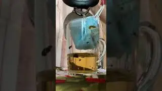 Завариваю чай с помощью маски