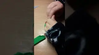 Лепим черепашку из пластилина