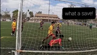 goalie highlights (part 2)