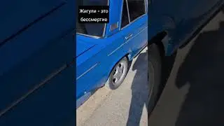 прабабушка #веста бессмертная :)