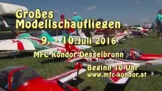 WB Flugtag 2016