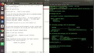 import torch and torchvision in python program.