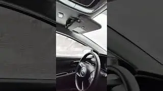 сильная метель, покормили Пулю 🙏