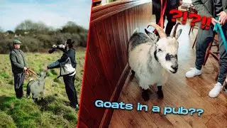 This Photoshoot was VERY Random! (POV 4K)