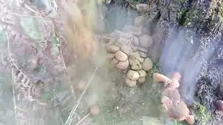 Осенний поход по реке Брекотунья (пороги, пещера и заброшенная каменоломня).
