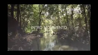 Intro/Texto com Movimento