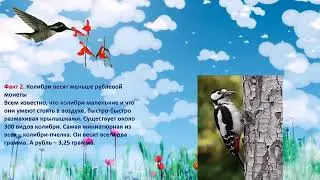 Птицы на книжных страницах. 20 интересных фактов о птицах.