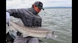 Battling BIG Sturgeon on the 9' Nightshift Surf Rod!