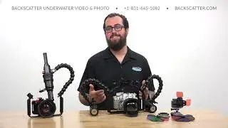 DPG Virtual Showcase 2021: Backscatter