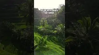 Bali is paradise and chaos 😳 #indonesiatravel #travelcreator