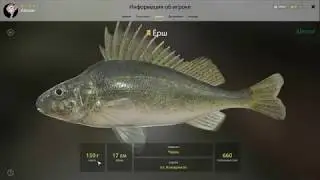 Русская Рыбалка 4 - Ёрш Оз.  Комариное