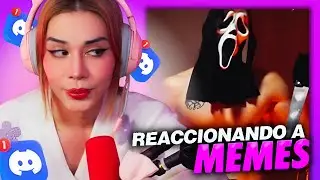 MOLLY REACCIONA A MEMES DE DISCORD 😂🥵