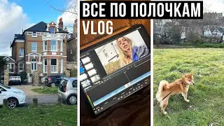 ПРОЦЕСС ПРИОБРЕТЕНИЯ ДОМА В АНГЛИИ 🏠 + Лунины бесяки 🦊