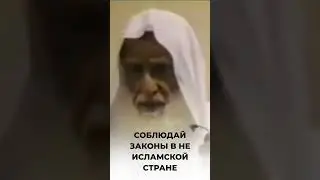 Соблюдай законы в не исламской стране | Шейх аль-Усаймин