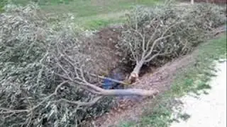 Azemmour en Kabylie : économie et sabotage!