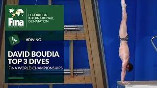 David Boudia - Top 3 Dives | FINA World Championships