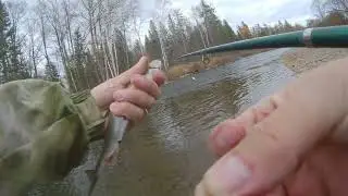 Начало октября. Рыбалка на реке Кур. День  первый