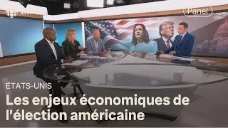 Harris et Trump : quelle vision pour l'économie? | Zone économie